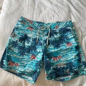 Tropical Blue Swim Shorts